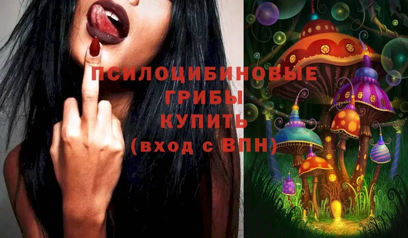 Галлюциногенные грибы Psilocybe  мега ссылка  Энем 